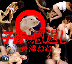 長澤ねね
